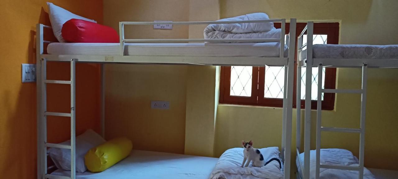Red Monkeys Hostel Arambol Zewnętrze zdjęcie